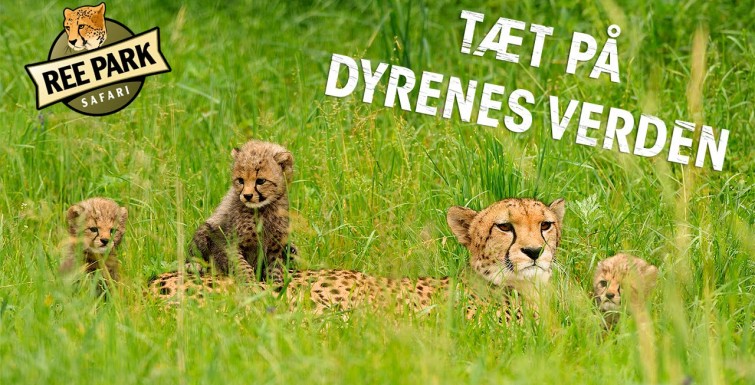 Udflugt 2./9. kl. 8.30 til Ree Safaripark